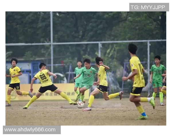 银河战舰的足球明星们如何在绿茵场上书写传奇与荣耀