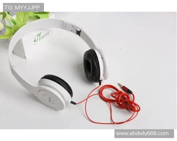 篮球明星们最爱的耳机品牌与型号揭秘你也想拥有吗