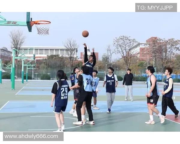 篮球场上的旋律与梦想歌唱篮球明星的辉煌与奋斗历程