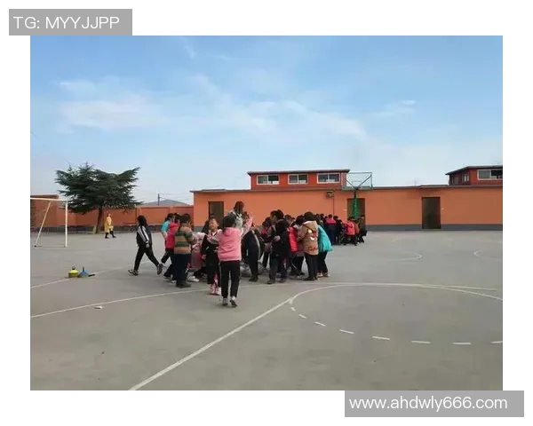 如何与明星一起打篮球提升技艺和享受乐趣的全攻略